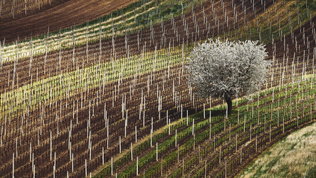 Similar image 19742742