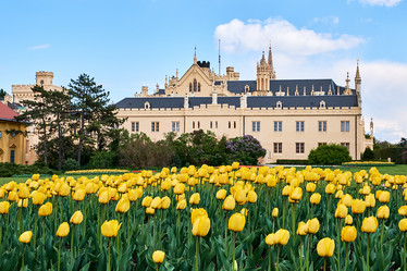 Similar image 19742720