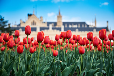 Similar image 19742722