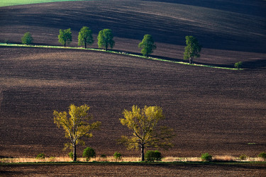 Similar image 19742741