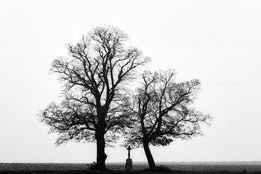 Similar image 19742732