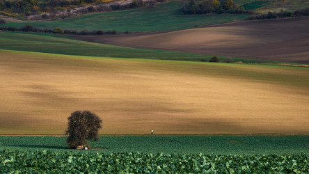 Similar image 19742735