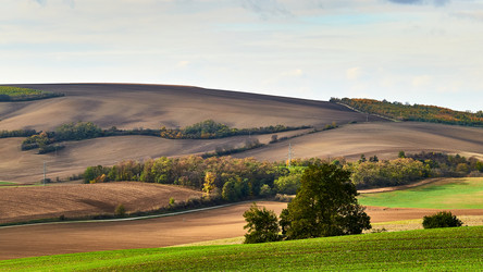 Similar image 19742736