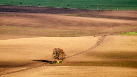 Similar image 19742784