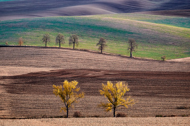 Similar image 19742764