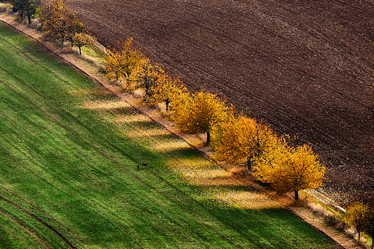 Similar image 19742783