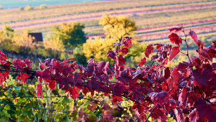 Similar image 19742759