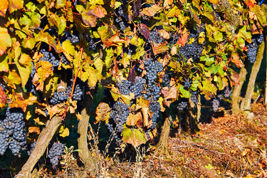 Similar image 19742786