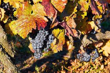 Similar image 19742793