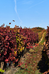 Similar image 19742804