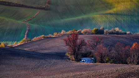 Similar image 19742785