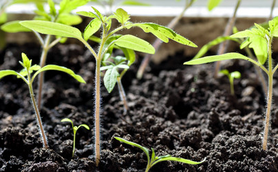 Similar image 19606735