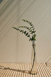 Similar image 19583962