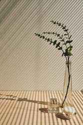 Similar image 19583963