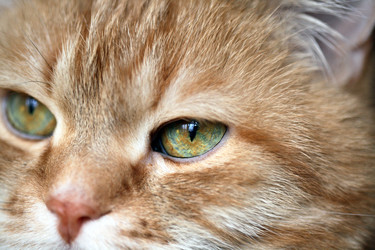 Similar image 19607153