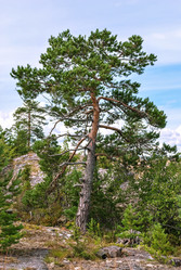 Similar image 19606809