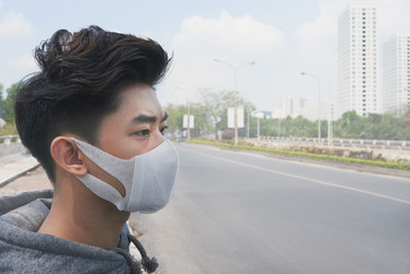 Similar image 19584135