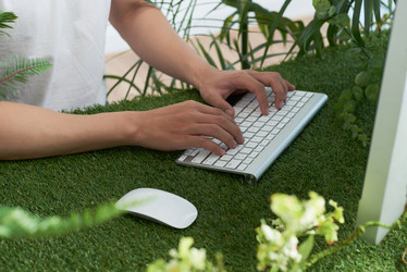 Similar image 19584157