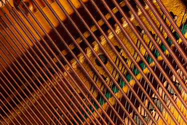 Similar image 19742538