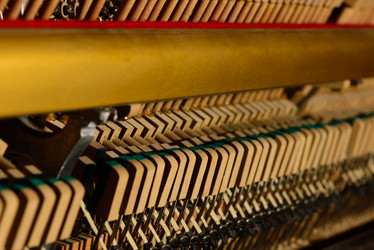 Similar image 19742555