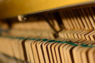 Similar image 19742520