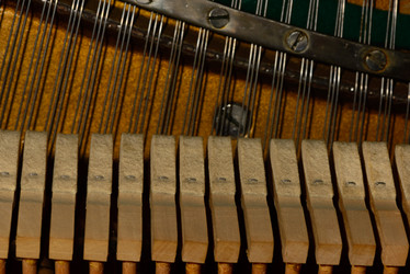 Similar image 19742524