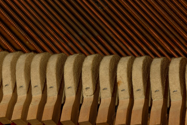 Similar image 19742526