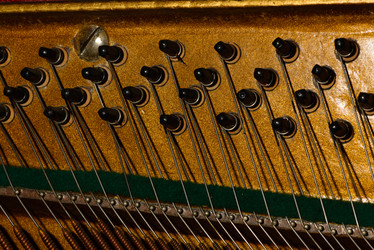 Similar image 19742527