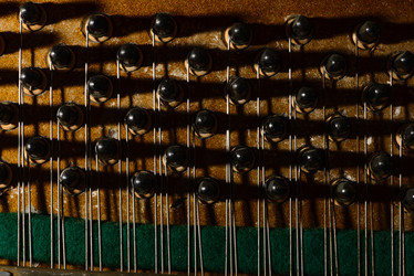 Similar image 19742539