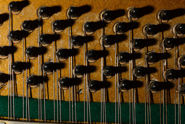 Similar image 19742542