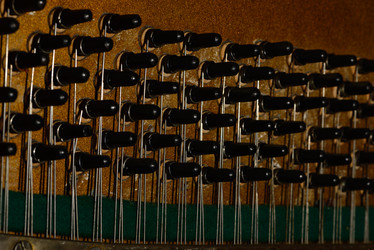 Similar image 19742549