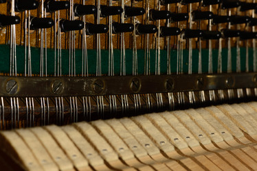 Similar image 19742557