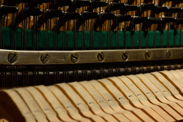 Similar image 19742561