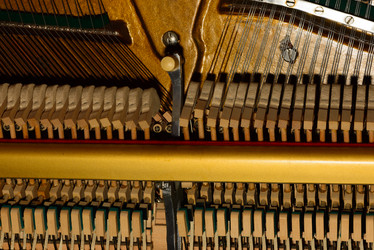 Similar image 19742564