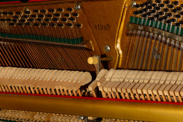 Similar image 19742570