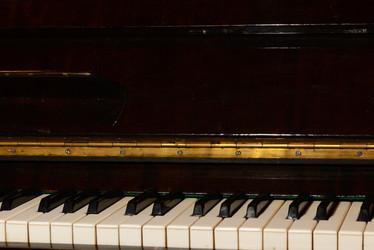 Similar image 19742574