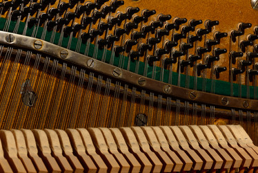 Similar image 19742577