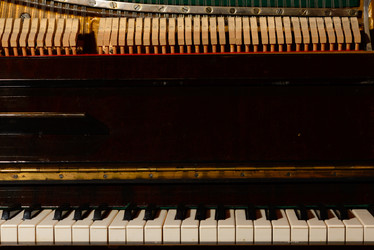 Similar image 19742579