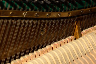 Similar image 19742536