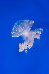 Similar image 19607324