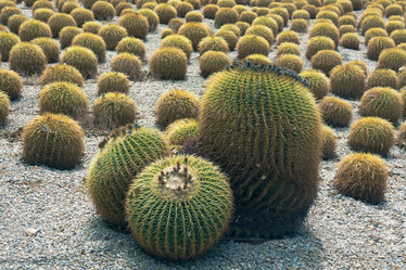 Similar image 19607330