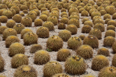 Similar image 19607332