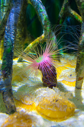 Similar image 19607334