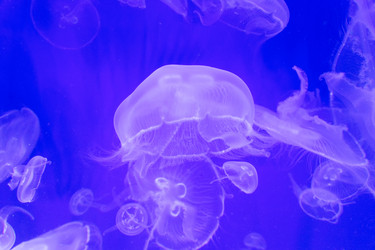 Similar image 19607341