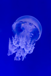 Similar image 19607342