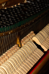 Similar image 19742537