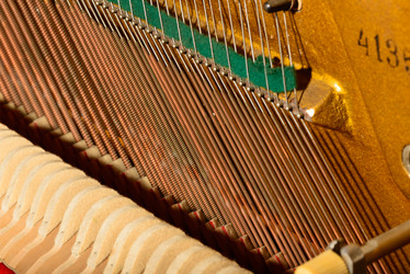 Similar image 19742543