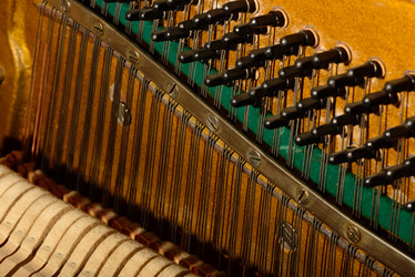 Similar image 19742545