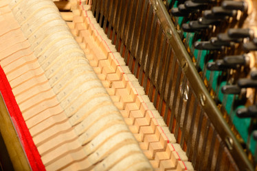 Similar image 19742558