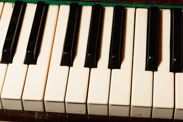 Similar image 19742569